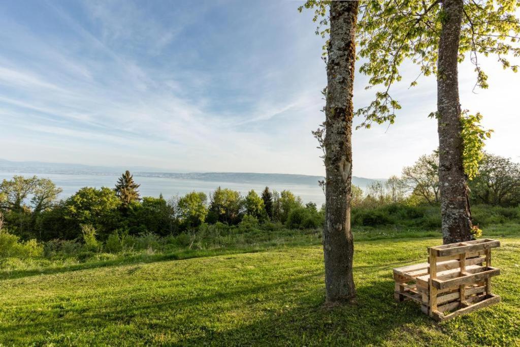 Le Garden - Ski - Vue Lac - Piscine - Parking - Evian - Thonon - Люгрен Екстер'єр фото